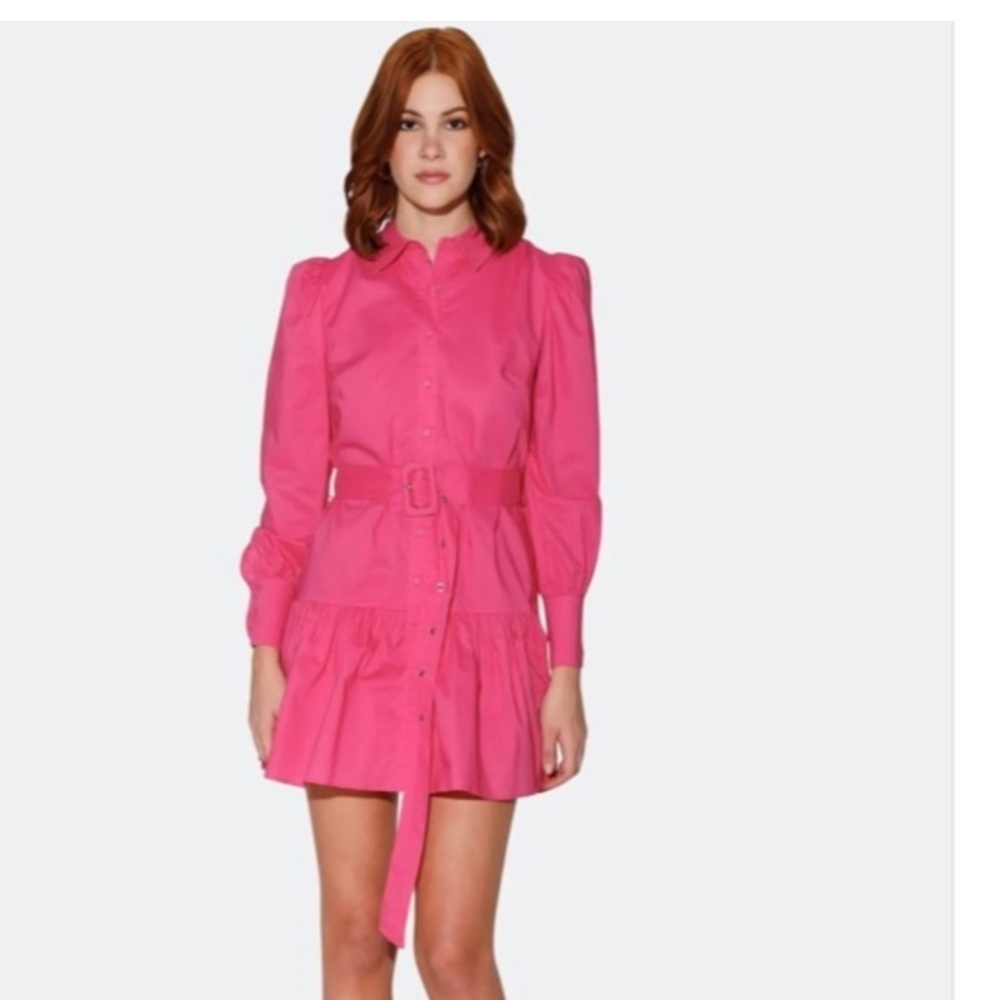 Walter Baker Hot Pink Button-Front Belted Shirt Dress - Picture 4 of 11